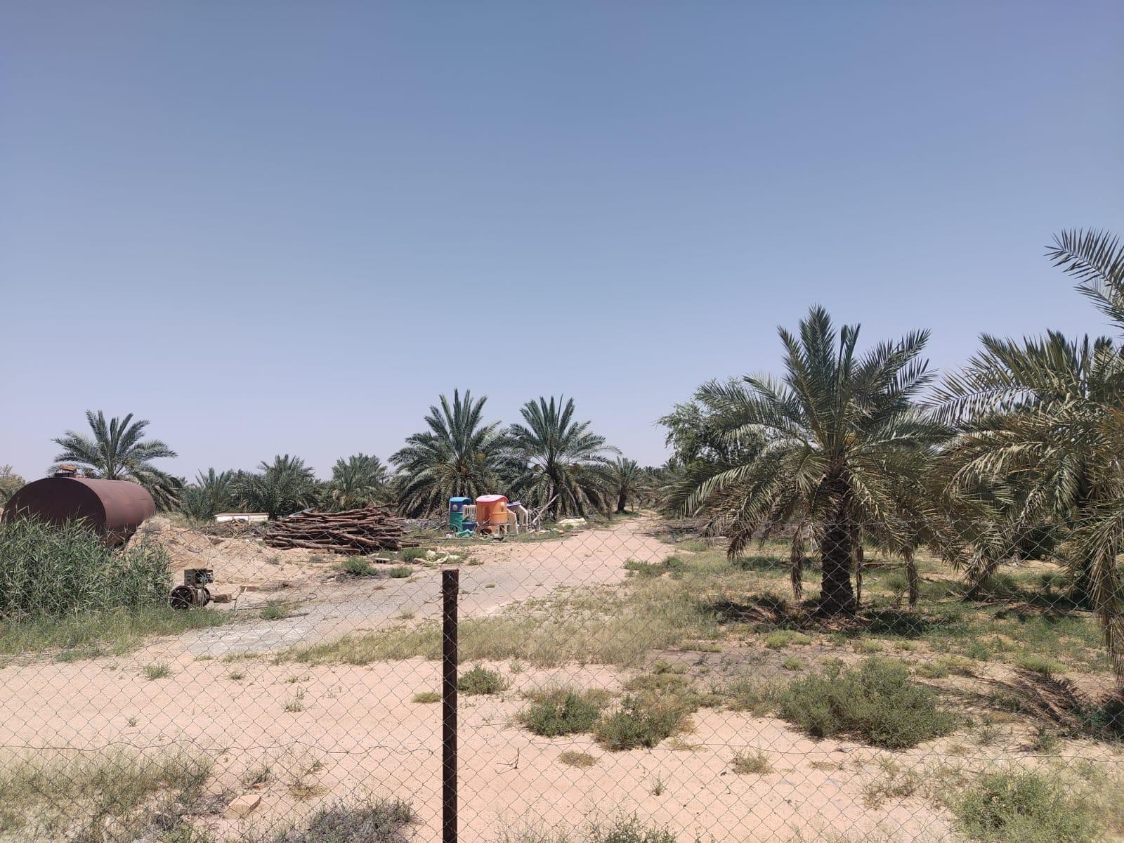 اعلان تسويقي